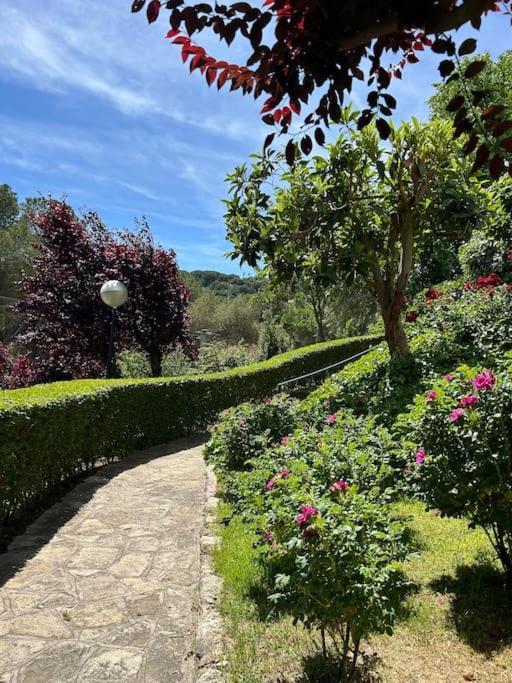 Apartamento De Lujo Vergel Suite San Martín de Valdeiglesias Exteriér fotografie
